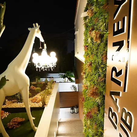Barneys Cercola