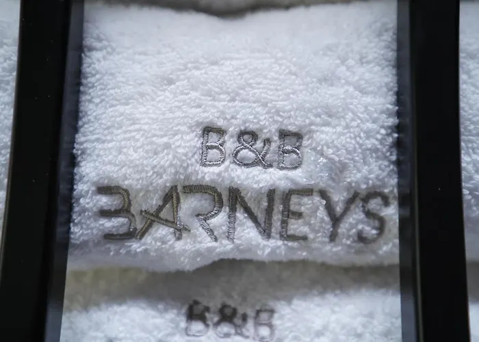 Bed and breakfast Barneys