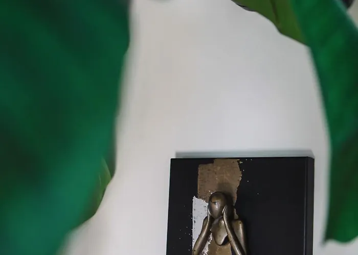 Barneys Bed and breakfast